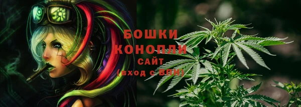 сатива Алексин